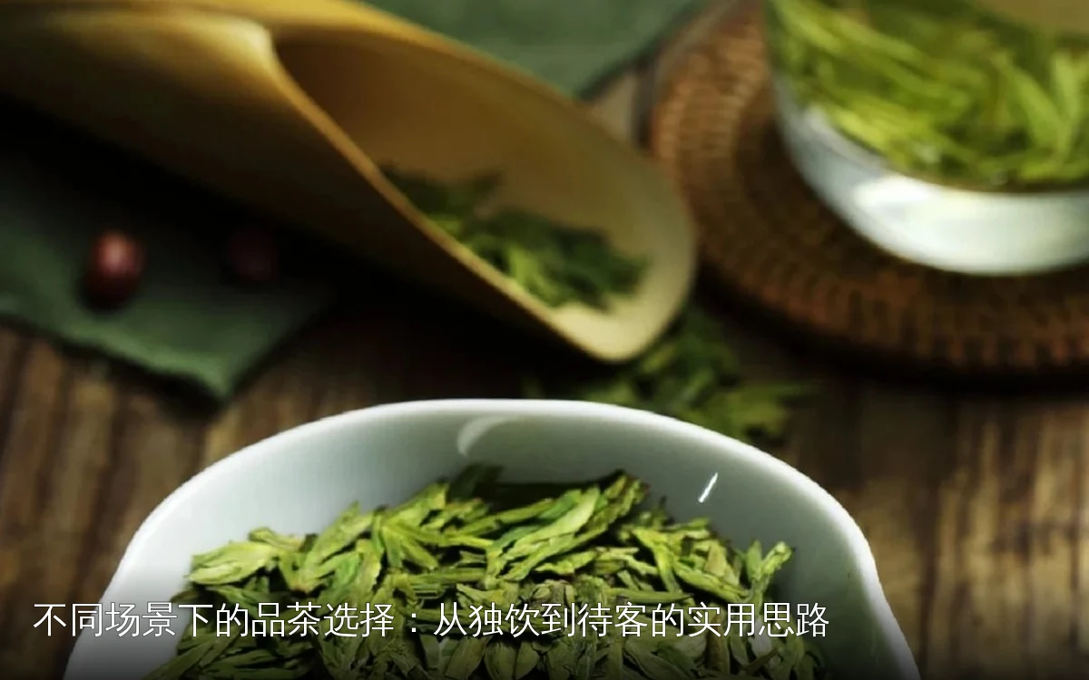不同场景下的品茶选择：从独饮到待客的实用思路